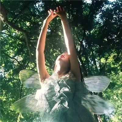 BanG Dream! Morfonication