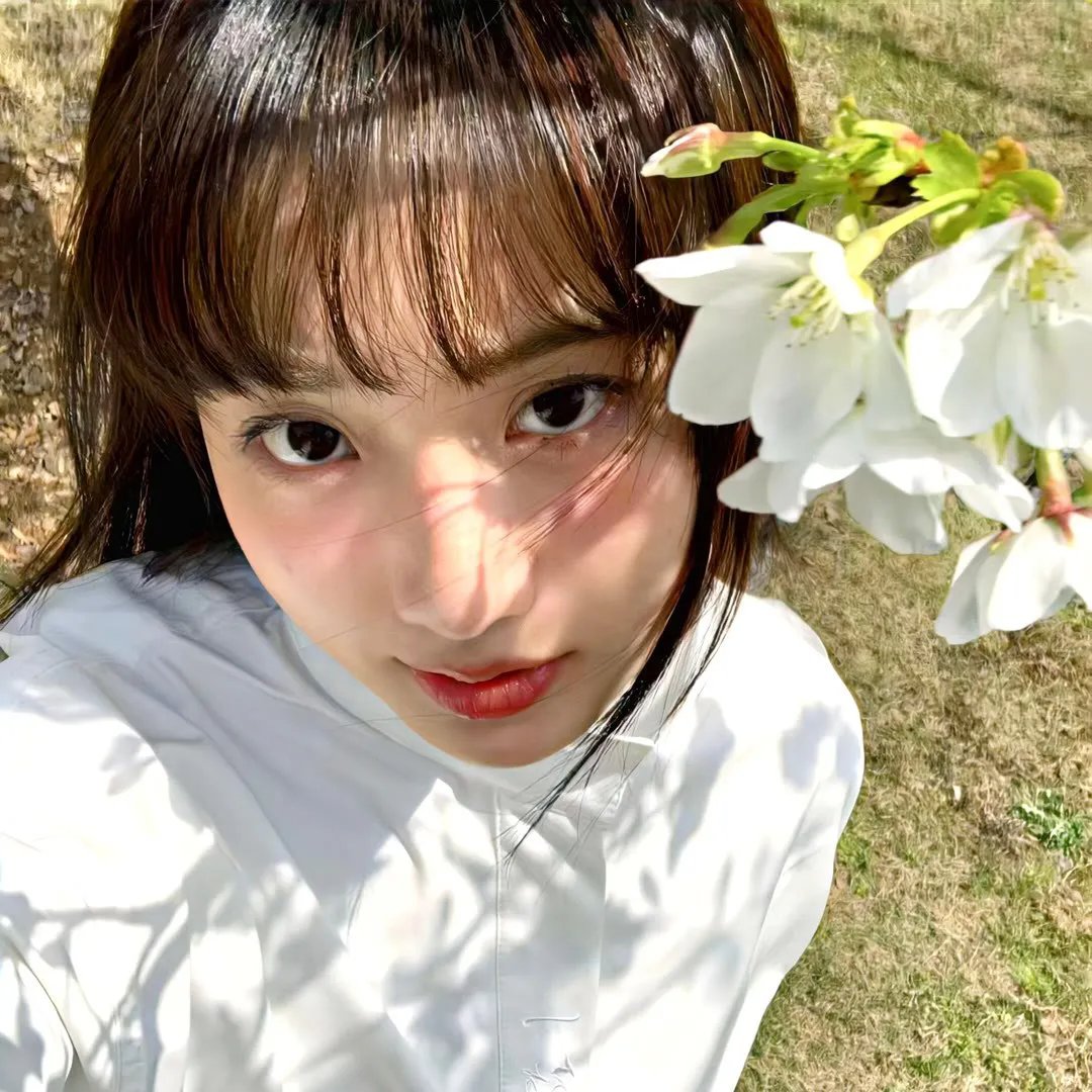 三个火枪手：达达尼昂