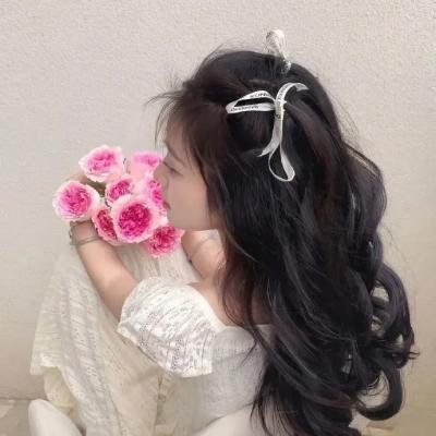 蝴蝶 (2007年电影)